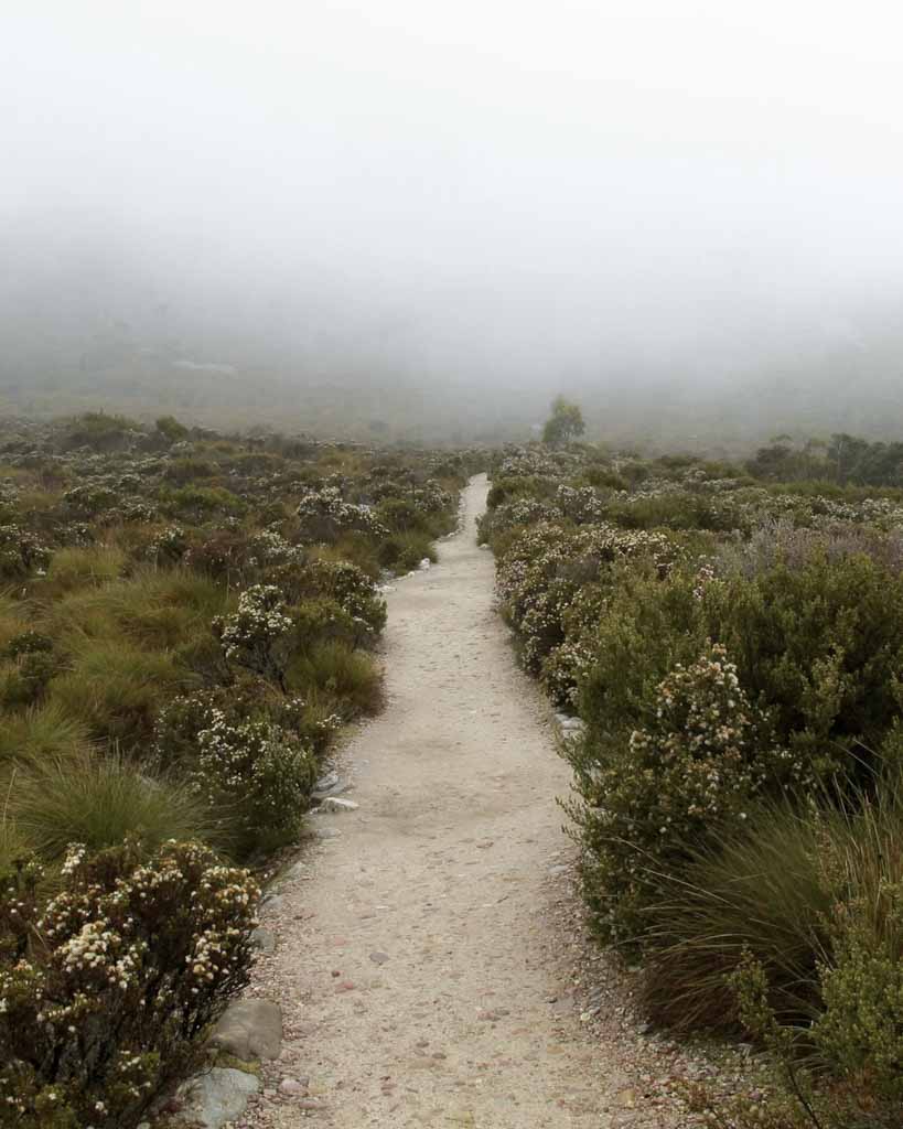 tasmania